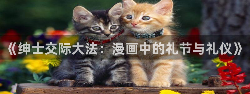 :拷贝漫画：《绅士交际大法：漫画中的礼节与礼仪》